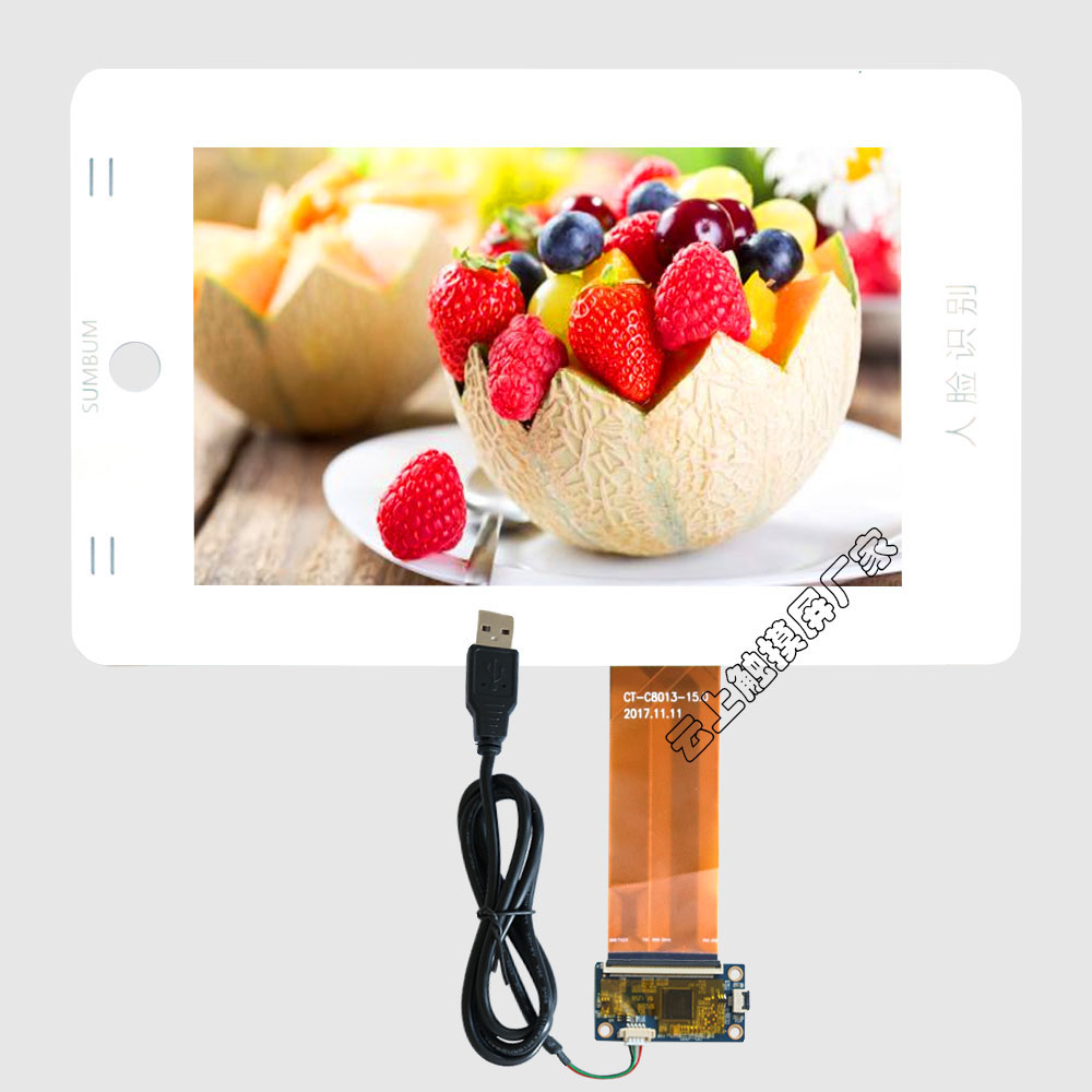 10.1寸电容触摸屏