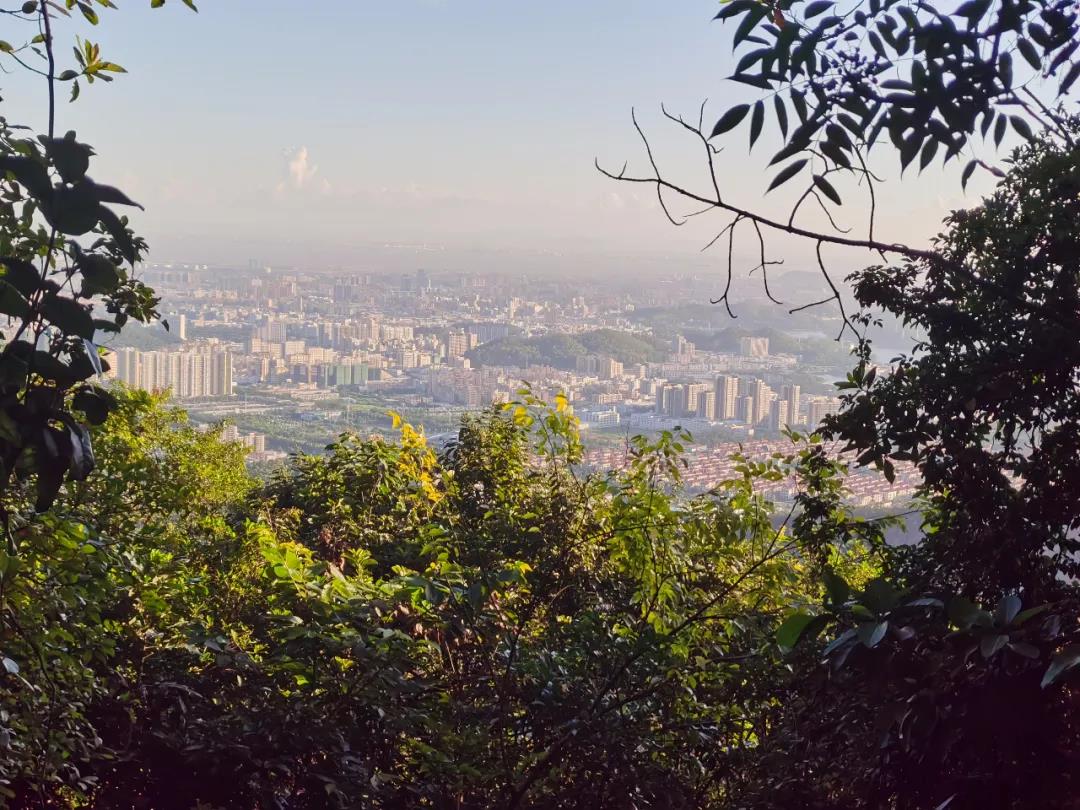 万豪娱乐·(中国游)有限公司官网